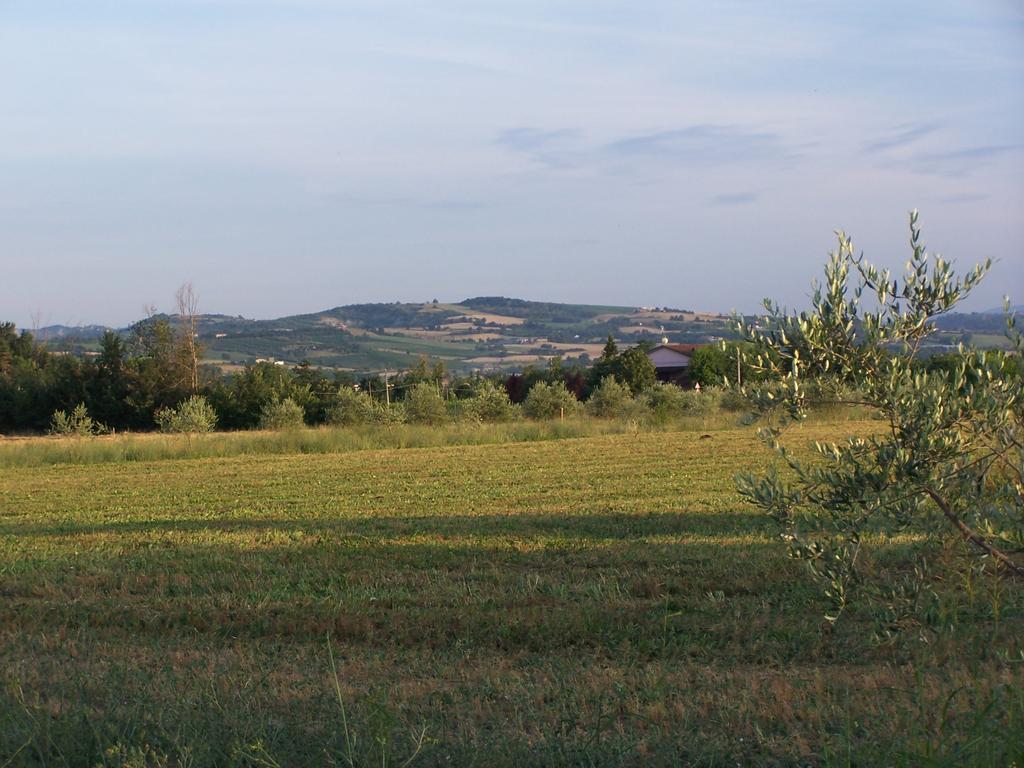 Agriturismo La Lenticchia Fratta Terme Exteriör bild