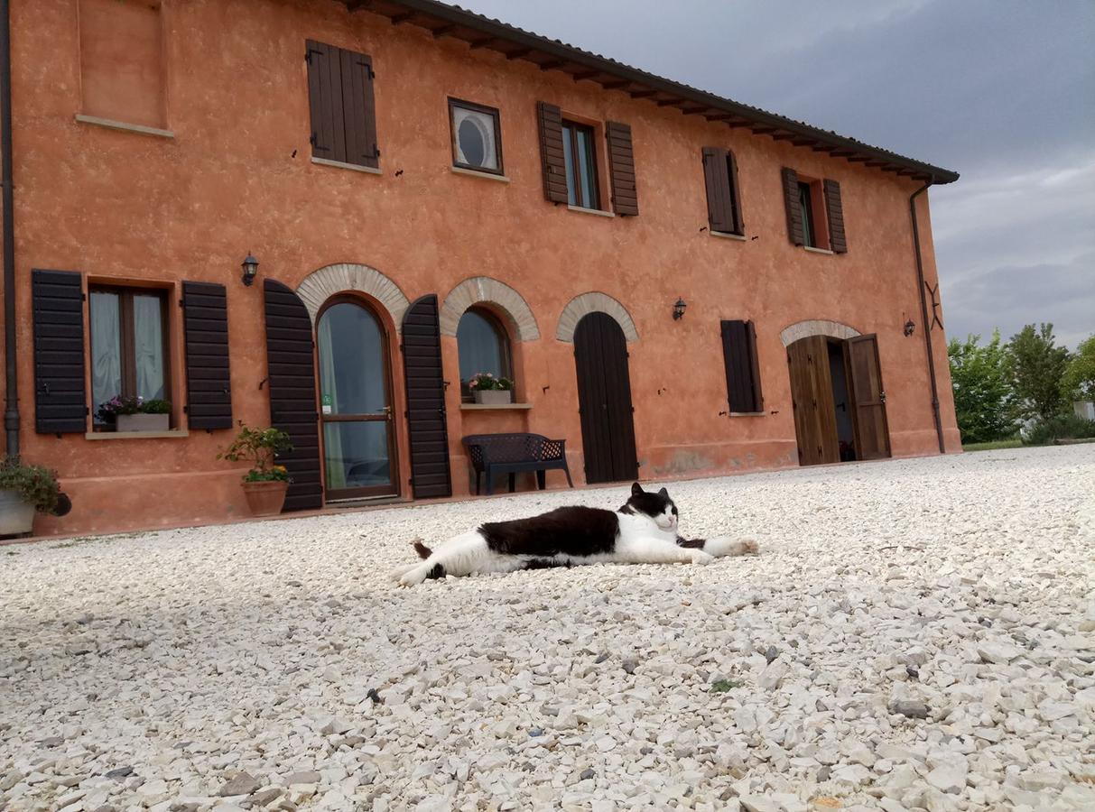 Agriturismo La Lenticchia Fratta Terme Exteriör bild